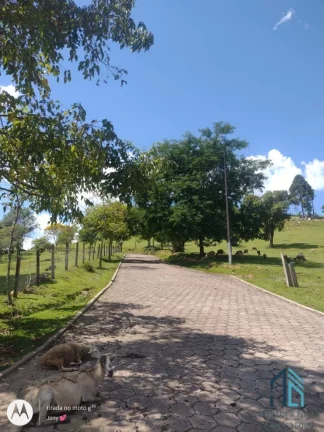Imagem Chácara poucos metros da BR 116, 04 tanques de peixes, 03 casas, nascentes, Areia Branca dos Assis - Mandirituba PR