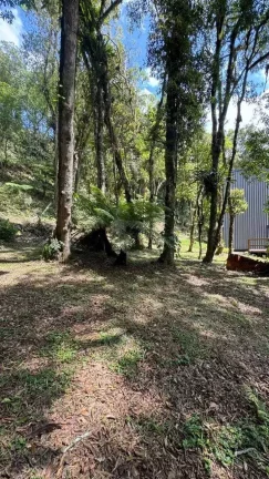 Imagem Chácara com 3 dormitórios e 2 vagas de garagem em Salto do Engenho | Campo Alegre/SC