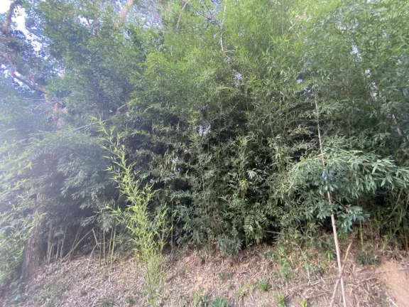 Imagem Terreno à Venda com 15.961,90 m2 na Colônia Rodrigo Silva