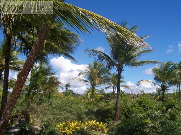 Imagem 400.000 m² com 500 m de frente ao Mar em Ilhéus - BA