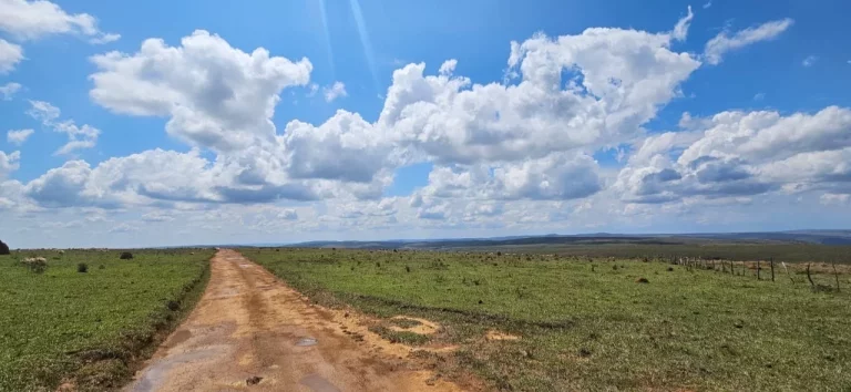 FAZENDA À VENDA EM DELFINÓPOLIS - MG COM 430 ALQUEIRES