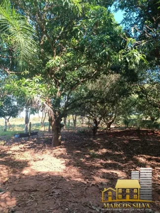 Imagem Chácara com 3 Quartos à Venda, em Portal das Araras - Três Lagoas