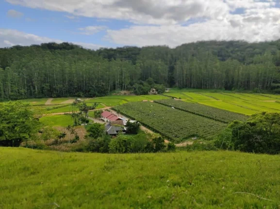 Lindo Sitio em Santa Catarina - Ascurra