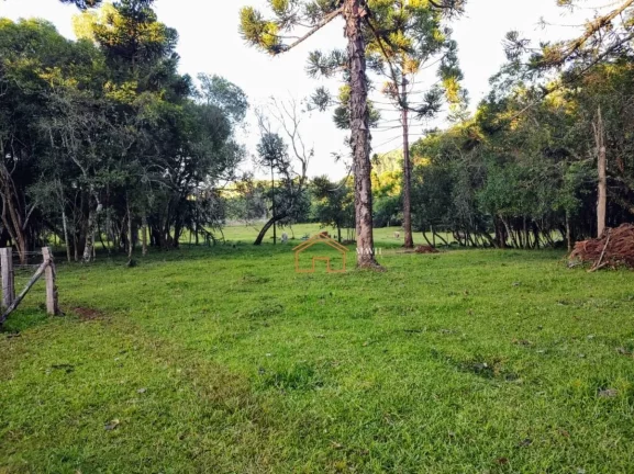 Imagem CHACARA RURAL em CAMPO BELO DO SUL - SC, Interior