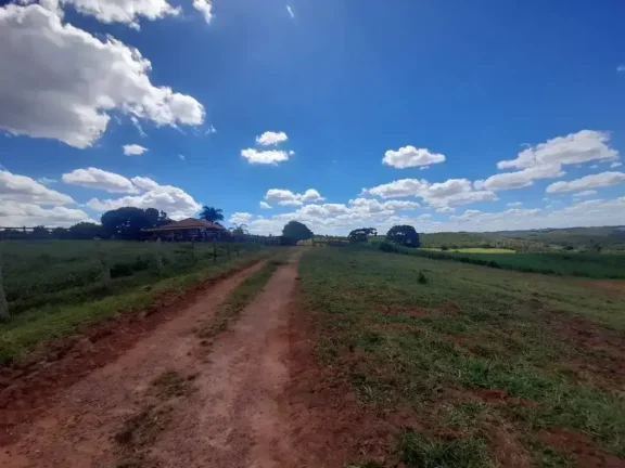 Imagem Fazenda à venda em Ibertioga, ZONA RURAL, 148ha
