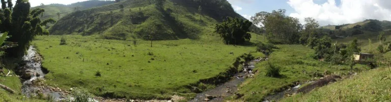 Imagem VENDO FAZENDA FICA A 25 KM DO CENTRO DE ANGRA 116 Hectares, MUITA ÁGUA