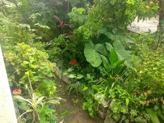 Imagem Casa à venda - Santa Maria, São Caetano do Sul - SP