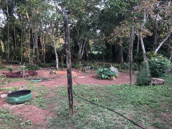Imagem Fazenda de Morangos com 180 ha em Nova Friburgo - RJ
