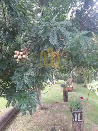 Imagem Chacara em Condomínio Juca de Carvalho 2 Suítes Pomar Lago