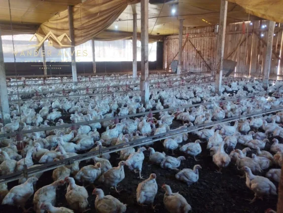 Imagem SITIO COMERCIAL em MARECHAL CÂNDIDO RONDON - PR, Zona rural