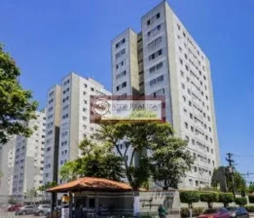 Imagem Aluga Apartamento com 2 Dormitórios em Socorro - São Paulo