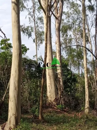 Imagem Terreno para Venda em Rio Claro, Área Rural de Rio Claro