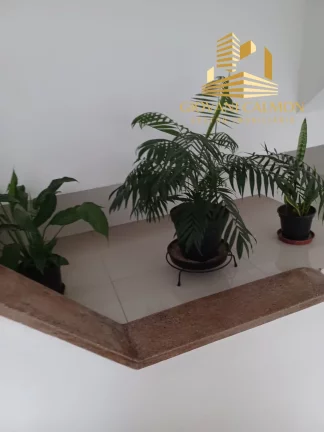 Imagem Venha conhecer este incrível apartamento de 2 quartos no Ipiranga, São Paulo-SP!