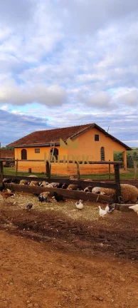 Imagem Fazenda em Não Informado