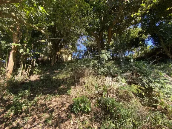 Imagem Terreno com 990 m2 no Bairro Boa Morte – Ideal para investimento ou grandes projetos