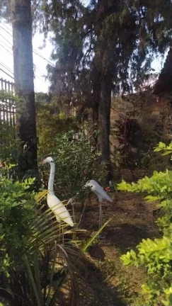 Imagem Casa em Belo Horizonte