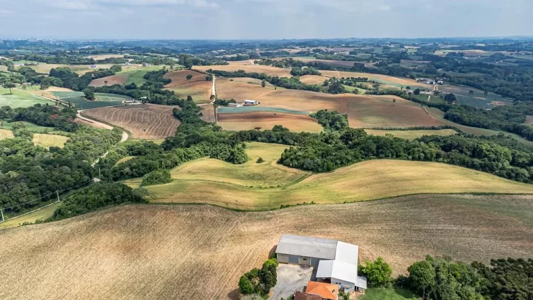 Imagem Chácara com 6 alqueires em Campo Magro