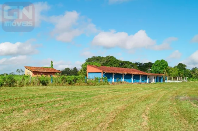 Imagem Fazenda para Venda em Castanhal