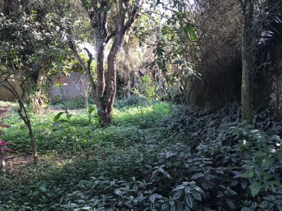 Imagem Terreno à venda, 500 m² por R$ 390.000,00 - Parque Palmeiras - Suzano/SP