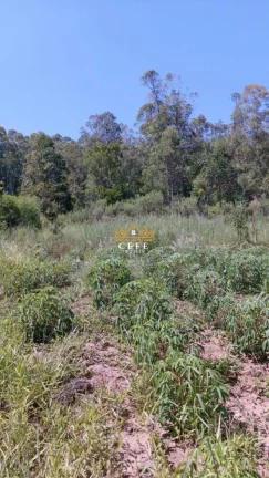 Imagem Chácara - Sítio com 1 Dormitorio(s) localizado(a) no bairro Zona Rural em Araricá / RIO GRANDE DO SUL Ref.:1584
