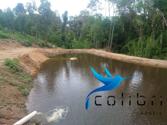 Imagem Chácara à Venda, 7.716 m² em Lagoa Dos Ferreiras - Mandirituba