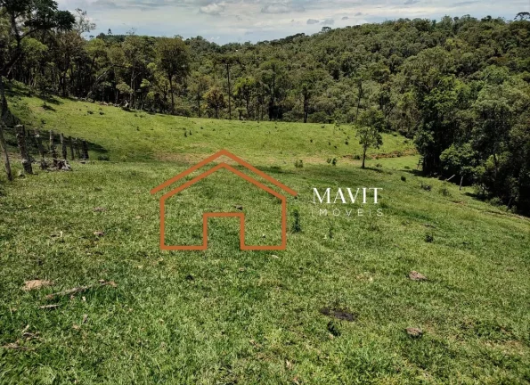 Imagem SITIO RURAL em CAMPO ALEGRE - SC, Estrada Laranjeiras
