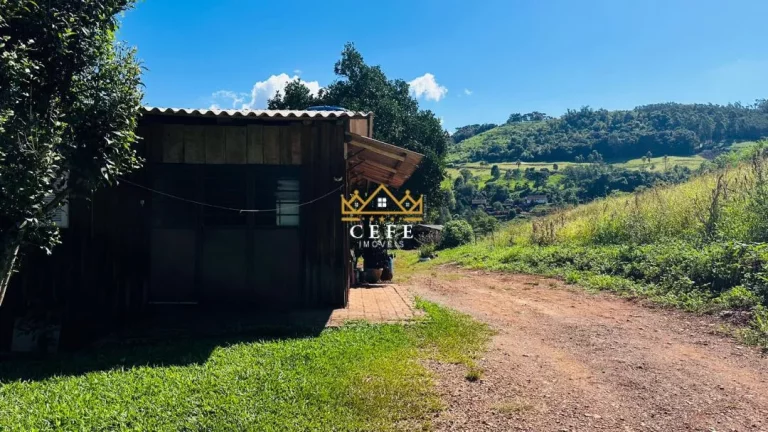 Imagem Chácara - Sítio com 3 Dormitorio(s) localizado(a) no bairro São Jacó em Nova Petrópolis / RIO GRANDE DO SUL Ref.:1559