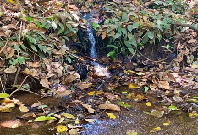 Imagem Chácara em Bela Vista de Goiás