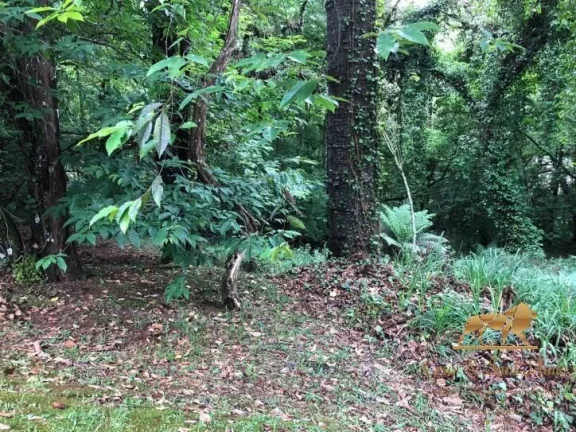Imagem Terreno à venda, 2450 m² Capivari - Campos do Jordão/São Paulo