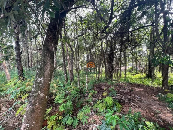 Imagem Terreno à venda, 1000 m² por R$ 280.000,00 - Condomínio Canto do Riacho - Lagoa Santa/MG