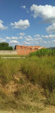 Imagem Terreno para Venda em Campinas, Vila Palmeiras I
