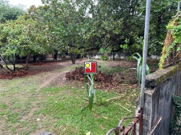 Imagem Terreno maravilhoso, 12.000m², Gabinal, Freguesia, R$11.500.000 ponto fantástico, comercial ou residencial, documentação perfeita, ultimo do bairro!!!