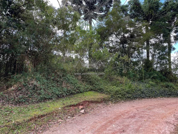 Imagem Terreno à venda em Campos do Jordão - Excelente opção para investimento