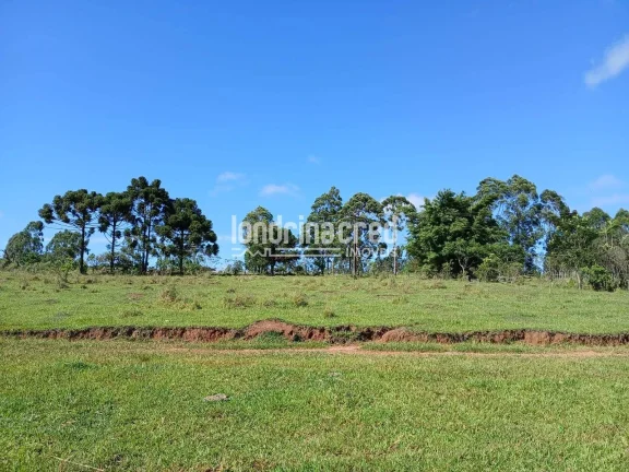 Imagem Sítio à venda, Flamenguinho, Ibaiti, PR
