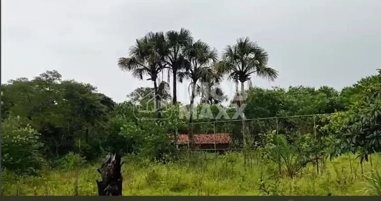 Imagem Chácara à Venda em Paranoá - DF250 - Fazenda Velha - 6,2 hectares - Escriturada e registrada.