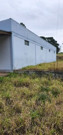 Imagem INVESTIDORES!!! - Sítio a venda com 3 Hectares, Pimenta, Viamão/RS