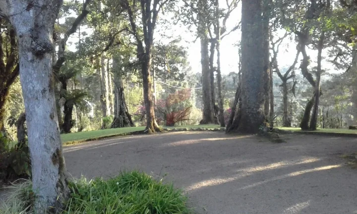 Imagem CHÁCARA com 3 dormitórios à venda com 5000m² por R$ 1.690.000,00 no bairro Vila Franca - PIRAQUARA / PR