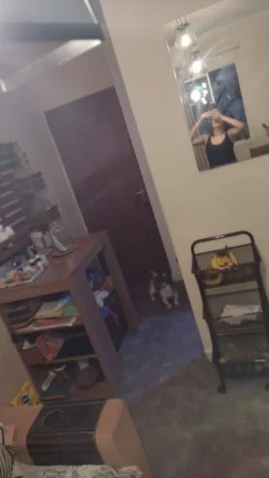 Imagem Apartamento Clean e arejado 54 m² 2 Dormitórios e 1 Vaga de Garagem