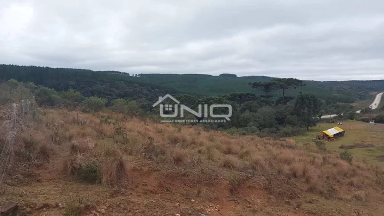 Imagem Fazenda de 47 Alqueires em Palmas - PR