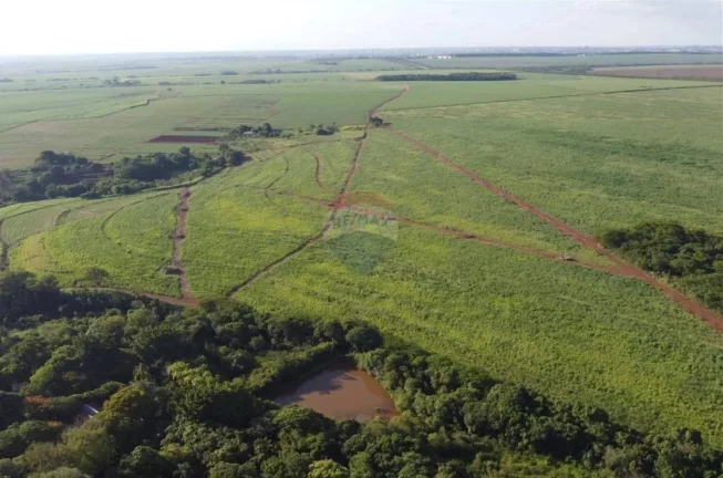 Imagem Fazenda à Venda, 830.000 m² em Jardim Do Carmo - Araraquara