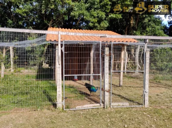 Imagem Sítio para Venda em Centro Capão do Leão-RS - 2664