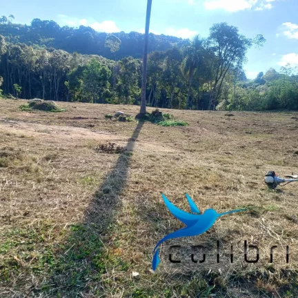 Imagem Chácara à Venda, 7.716 m² em Lagoa Dos Ferreiras - Mandirituba