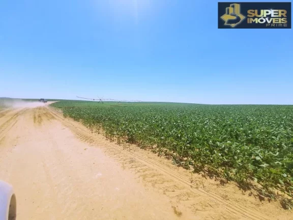 Imagem Fazenda de Excelência no RS 2.100 hectares Cachoeira do Sul