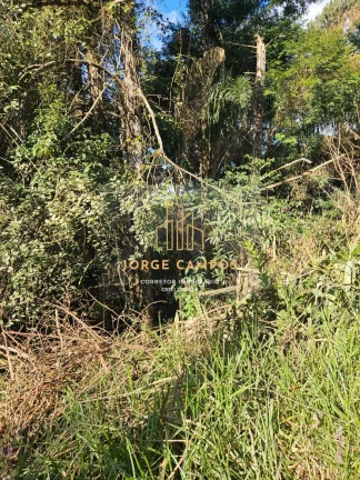 Imagem TE-25241 - TERRENO À VENDA EM JAMBEIRO / SP