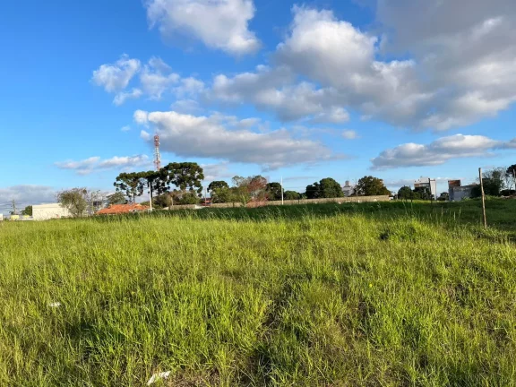 Imagem ÁREA à venda com 5513.17m² por R$ 8.269.755,00 no bairro Centro - PINHAIS / PR