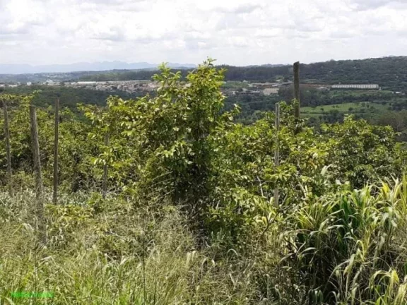 Imagem Sítio localizado na entrada do condomínio Village Juatuba, com casa , pomar, galpão.
Vista maravi...