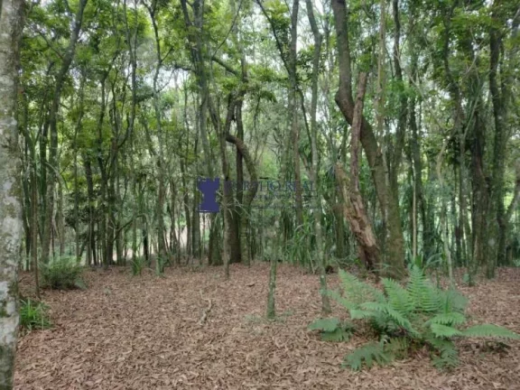 Imagem CHÁCARA EM BALSA NOVA COM 29.342,50M²