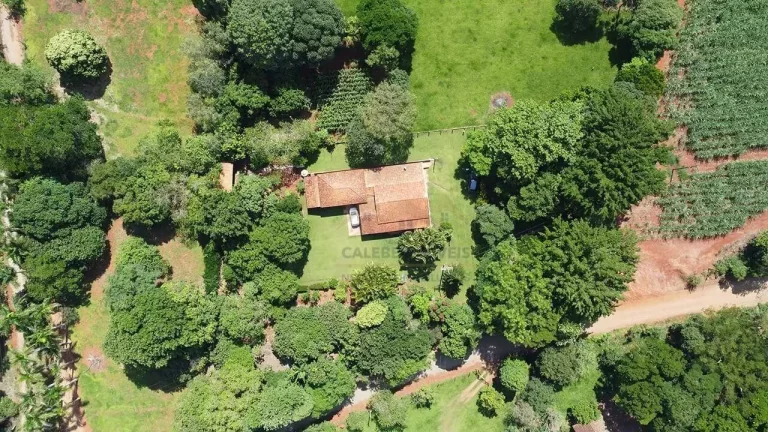 Imagem Chácara com 3 dormitórios à venda, 25000 m² por R$ 800.000,00 - Campininha - Cesário Lange/SP