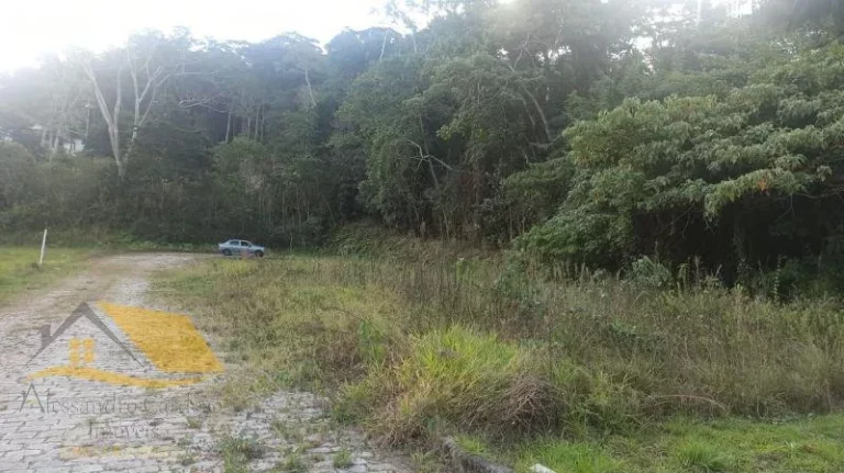 Imagem Vendo terreno com 360 mts², totalmente plano em Amparo