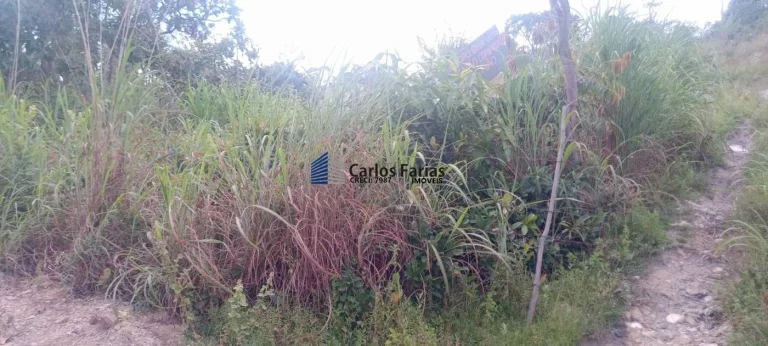 Foto do imóvel: Chácara para Venda em Brasília, Área Rural de São Sebastião